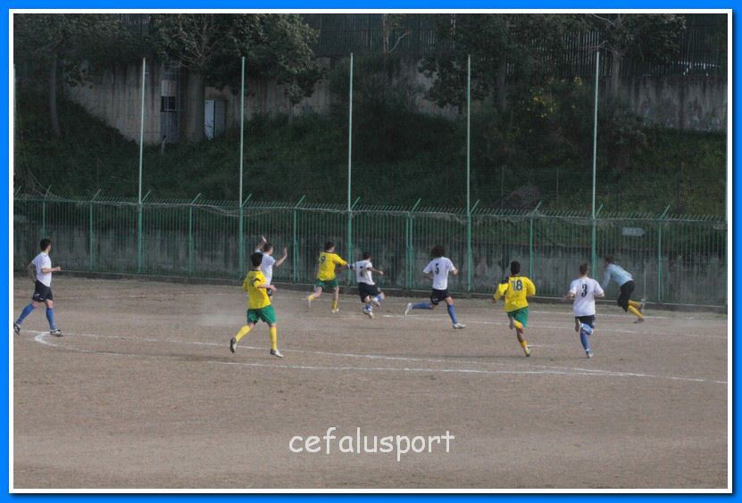 130406 delfini 122_tn.jpg